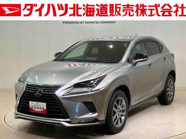 ＮＸＮＸ３００　スパイス＆シック（北海道）の中古車