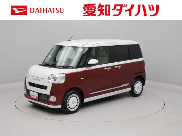 ムーヴキャンバスストライプスＧシートヒーター　保温ドリンクホルダー（愛知県）の中古車