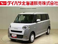 ムーヴキャンバスストライプスＧ