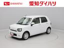 メモリーナビ　パノラマカメラ　ＥＴＣ（愛知県）の中古車
