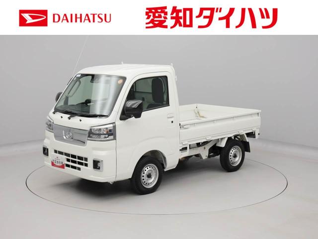 ハイゼットトラックＥＸＴ（愛知県）の中古車