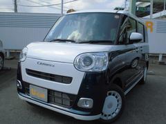 ムーヴキャンバスストライプスＧ