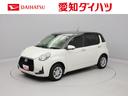 （愛知県）の中古車