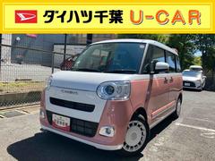 ムーヴキャンバスストライプスＧ