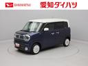 メモリーナビ　ＥＴＣ　ドライブレコーダー　全方位カメラ（愛知県）の中古車