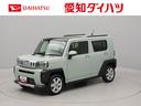 エアコン　パワステ　パワーウィンドウ　ＡＢＳ　エアバック　アルミホイール　キーフリー　電動ドアミラー　バックカメラ（愛知県）の中古車