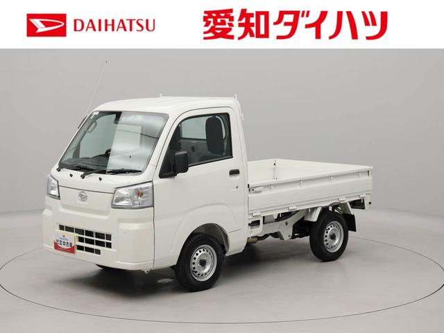 ハイゼットトラックスタンダード(愛知県)の中古車