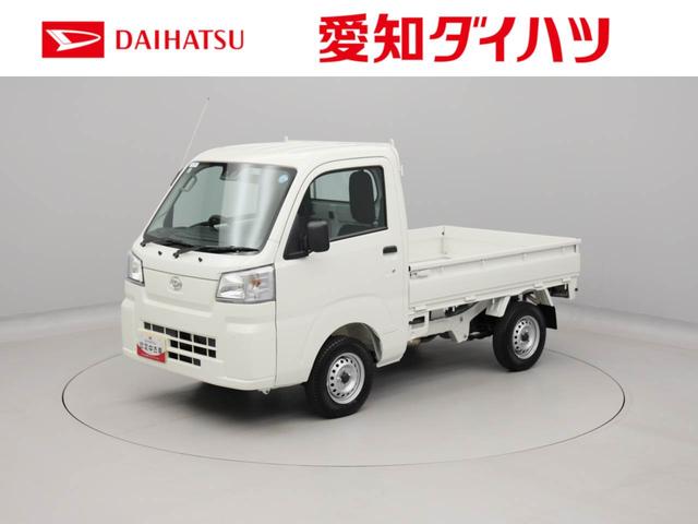 ハイゼットトラックスタンダード(愛知県)の中古車