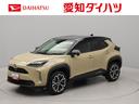 メモリーナビ　バックカメラ　電子パーキング　ＬＥＤヘッドライト　ＥＴＣ（愛知県）の中古車