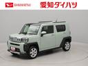 オーディオレス　バックカメラ　電子パーキング　ＬＥＤヘッドライト　ＬＥＤフォグランプ　キーフリー（愛知県）の中古車
