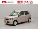 （愛知県）の中古車