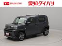 ドラレコ　ナビ　ＥＴＣ　ターボ車（愛知県）の中古車