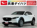 １年保証　禁煙　ワンオーナー　ＥＴＣ　ナビ　ＴＶ　３６０°ビュー・モニター　アダプティブクルーズコントロール　前後コーナーセンサー　シートヒーター　ブラインドスポットモニター　１８インチアルミホイール（兵庫県）の中古車