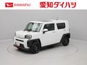 オーディオレス　バックカメラ　アイドリングストップ　プッシュスタート　エアバック　ＡＢＳ　ＣＶＴ　キーフリー（愛知県）の中古車