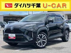  (高知県)