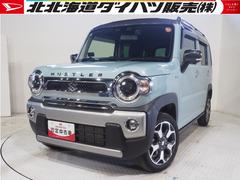  (北海道)