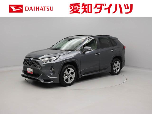 ＲＡＶ４ハイブリッドＧドライブレコーダー　クルーズコントロール　メモリナビ　パノラマカメラ　ＥＴＣ　ＵＳＢポート　スマートキー（愛知県）の中古車