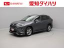 ドライブレコーダー　クルーズコントロール　メモリナビ　パノラマカメラ　ＥＴＣ　ＵＳＢポート　スマートキー（愛知県）の中古車