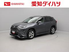 ＲＡＶ４ 中古車 ハイブリッドＧドライブレコーダー　クルーズコントロール　メモリナビ　パノラマカメラ　ＥＴＣ　ＵＳＢポート　スマートキー