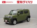 バックカメラ　アルミホイール　ＬＥＤヘッドライト（愛知県）の中古車