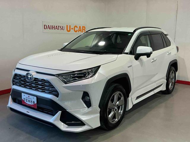 ＲＡＶ４ハイブリッドＧ衝突回避システム　Ｂモニタ　衝突安全ボディ　ＬＥＤランプ　スマートキー＆プッシュスタート　ナビ　４ＷＤ車　盗難防止　横滑防止　ＡＷ　ＡＢＳ　エアバッグ　メモリーナビ　ＥＴＣ　キーレス（栃木県）の中古車