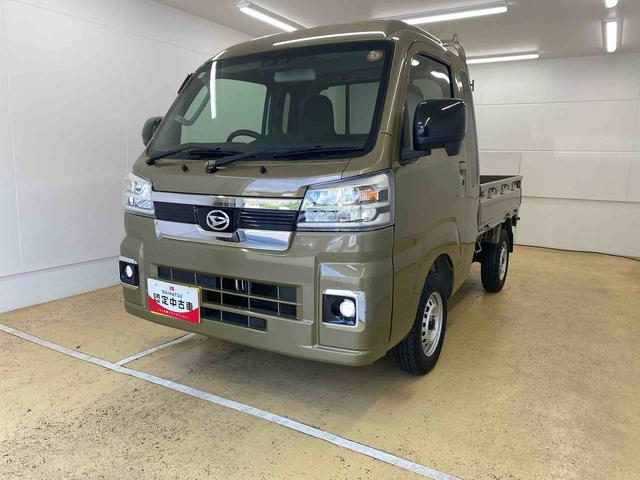 ハイゼットトラックジャンボエクストラ（静岡県）の中古車