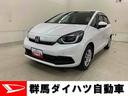 ナビ・ドラレコ・バックカメラ・ＬＥＤヘッドライト・プッシュボタンスタート・電動パーキングブレーキ・オートエアコン（群馬県）の中古車