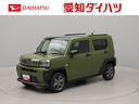 エアコン　パワステ　パワーウィンドウ　ＡＢＳ　エアバック　アルミホイール　サンルーフ　キーフリー　電動ドアミラー　バックカメラ（愛知県）の中古車