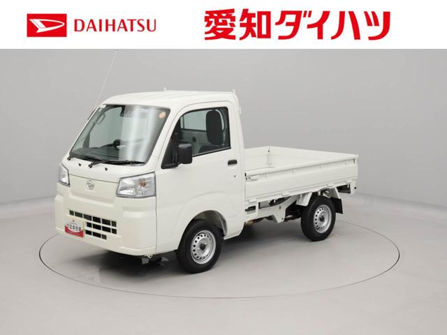 ハイゼットトラックスタンダード(愛知県)の中古車
