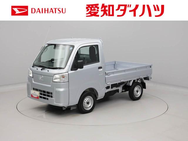 ハイゼットトラックスタンダード（愛知県）の中古車