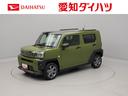 電動パーキングブレーキ　ブレーキホールド　クルーズコントロール　シートヒーター　ターボ車　ＵＳＢポート　スマートキー（愛知県）の中古車