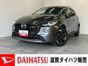 衝突被害軽減ブレーキ　コーナセンサー　ディスプレイオーディオ　フルセグ　Ｂｌｕｅｔｏｏｔｈ　ＵＳＢ　パノラマカメラ　前後ドラレコ　ＥＴＣ　レーダークルーズ　ＬＥＤ　オートライト　オートエアコン（滋賀県）の中古車