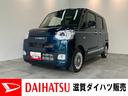衝突被害軽減ブレーキ　９型ディスプレイオーディオ　フルセグ　Ｂｌｕｅｔｏｏｔｈ　ＵＳＢ　パノラマカメラ　両側パワスラ　前後ドラレコ　前席シートヒーター　ＬＥＤ　レーダークルーズ　駐車支援システム（滋賀県）の中古車