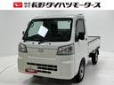 マニュアルエアコン　アクセサリーソケット　ゲートプロテクター　ガードフレームプロテクター　電子制御式４ＷＤ　ハロゲンヘッドランプ　オートライト機能（長野県）の中古車