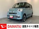 衝突被害軽減ブレーキ　９型ディスプレイオーディオ　Ｂｌｕｅｔｏｏｔｈ　ＵＳＢ　パノラマカメラ　前後ドラレコ　両側電動スライドドア　前席シートヒーター　ＬＥＤ　レーダークルーズ　駐車支援システム（滋賀県）の中古車