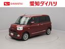 両側電動スライドドア　電動パーキングブレーキ　オートブレーキホールド（愛知県）の中古車