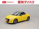 （愛知県）の中古車
