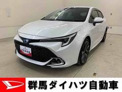  (群馬県)