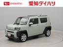バックカメラ　ＬＥＤヘッドライト（愛知県）の中古車