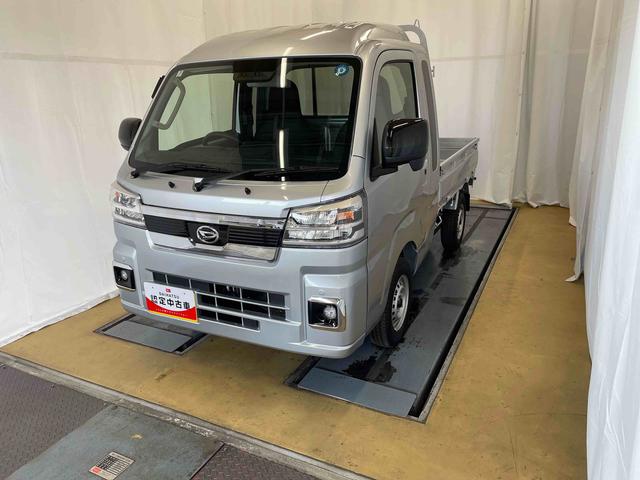 ハイゼットトラックジャンボエクストラ（静岡県）の中古車